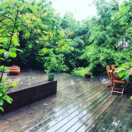 Villa Le Petit - Artegianale Braşov