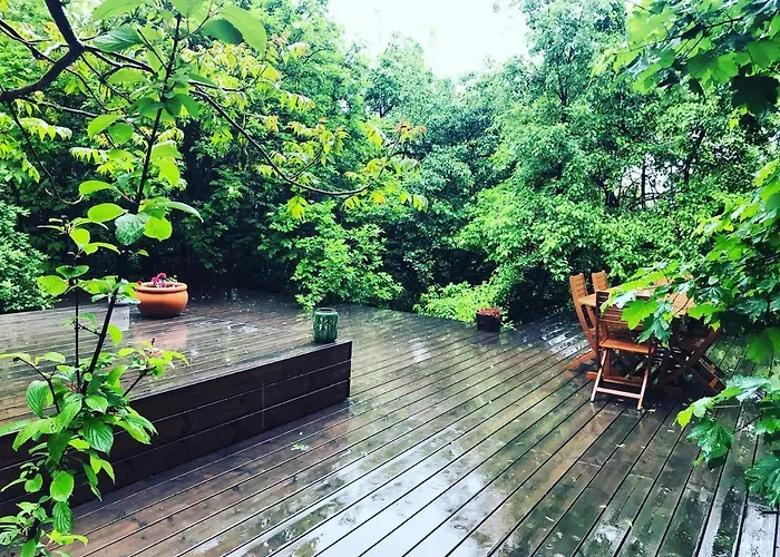 Willa Le Petit - Artegianale Braszów