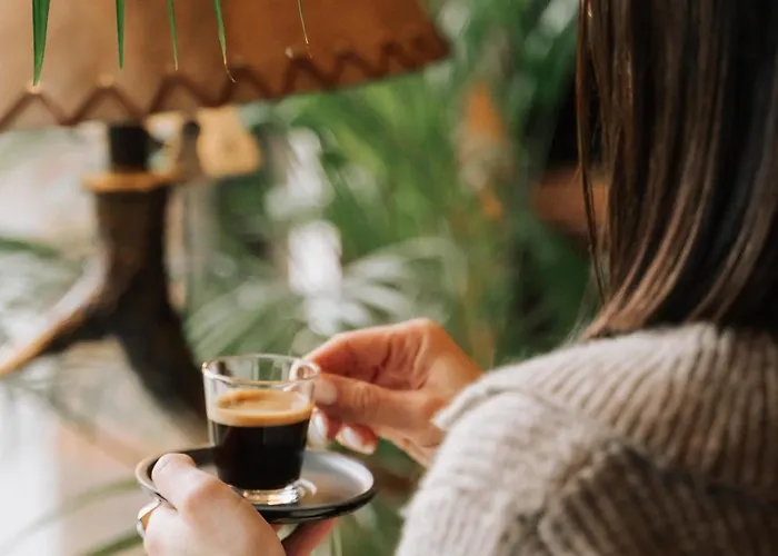 别墅 Le Petit - Artegianale 布拉索夫